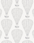 Wallpaper Montgolfières
