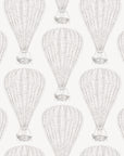 Wallpaper Montgolfières