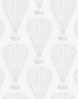 Wallpaper Montgolfières