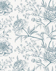 Wallpaper Delphine