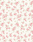 Papier Peint Sorbet