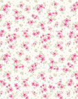 Papier Peint Sorbet