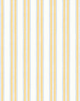 Papier Peint Anderson Ticking Stripes par Danika Herrick