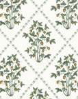 Wallpaper Strawberry Trellis by Danika Herrick