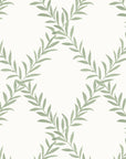 Wallpaper Leafy Trellis by Danika Herrick