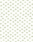 Wallpaper Paul by Danika Herrick