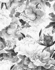 Mural Blush black