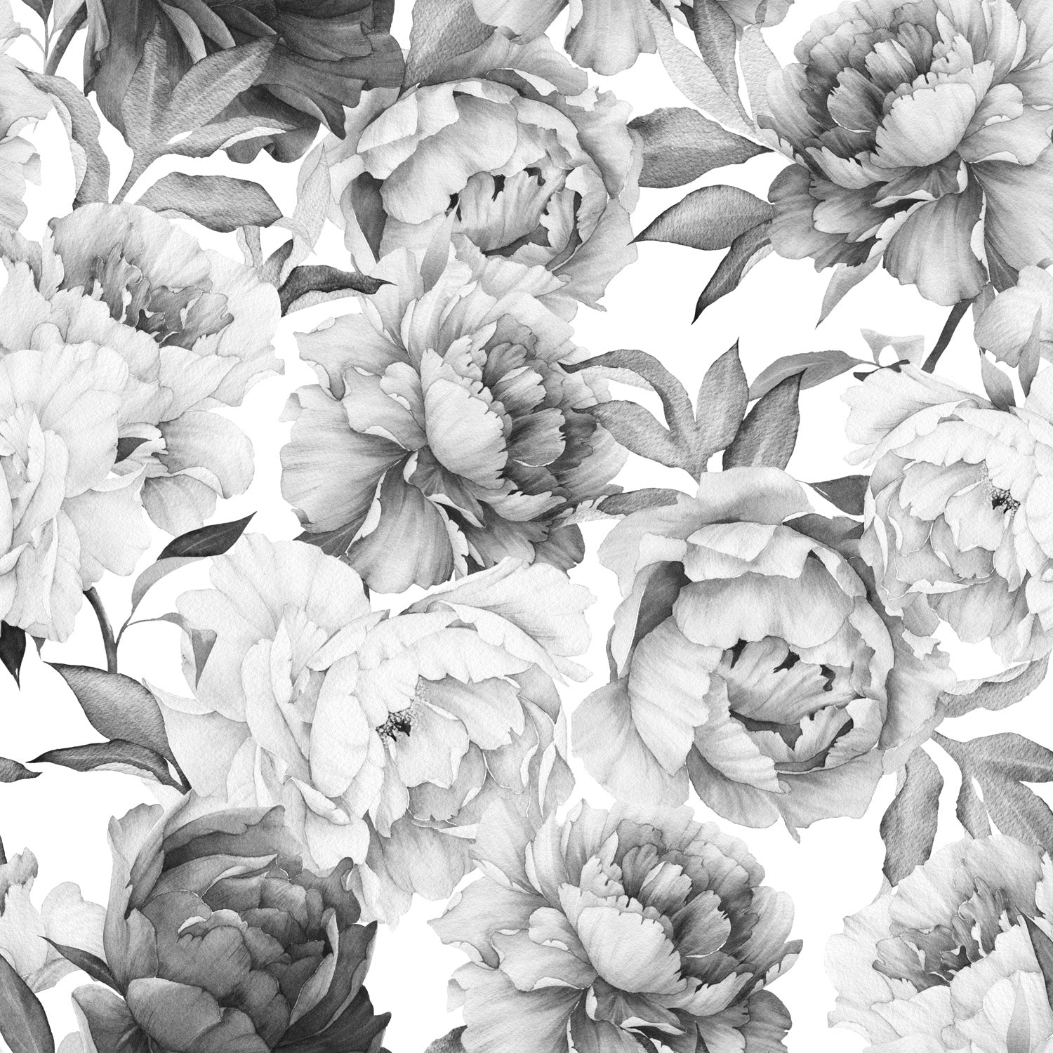 Murale Black Peonie