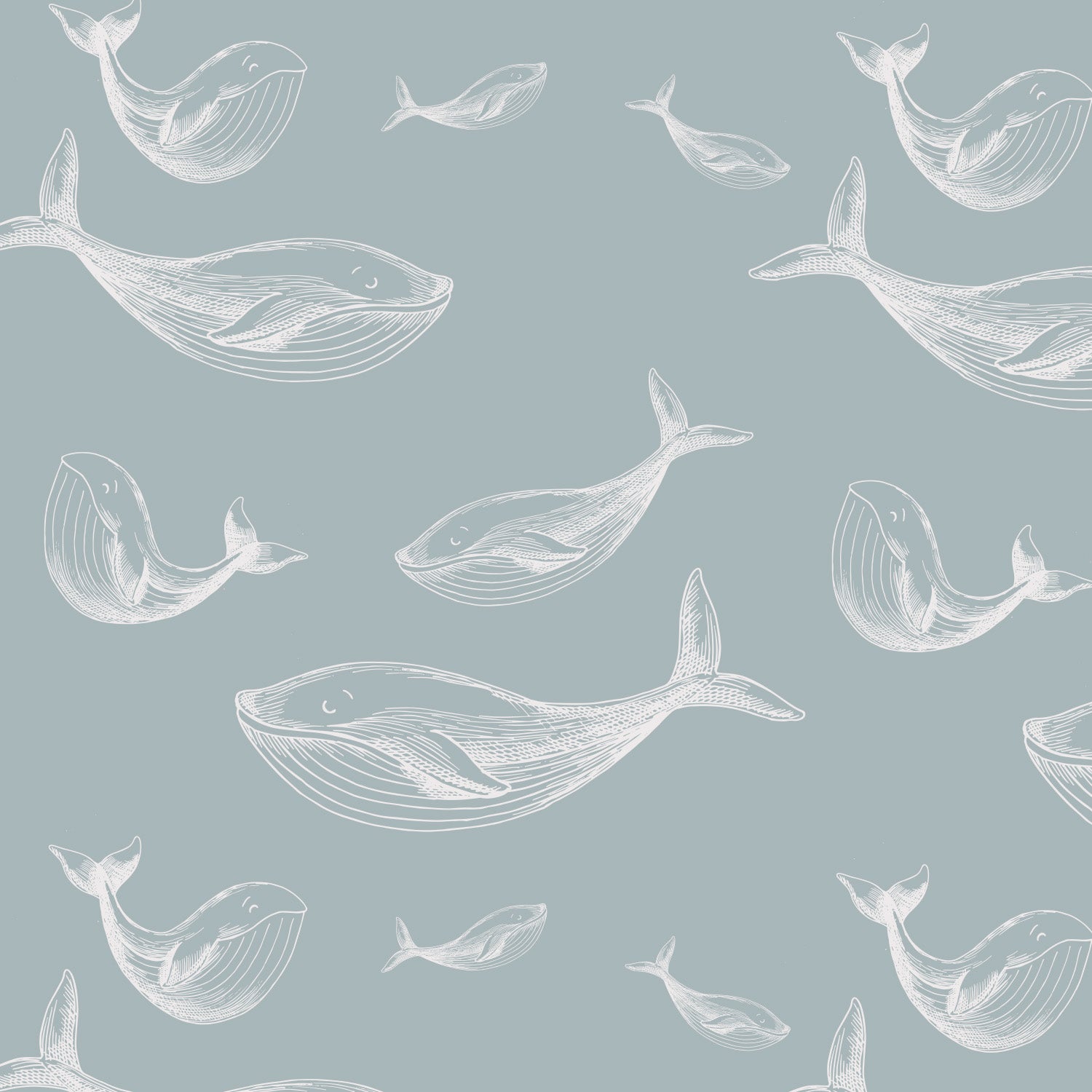 Mural Rorqual Bleu