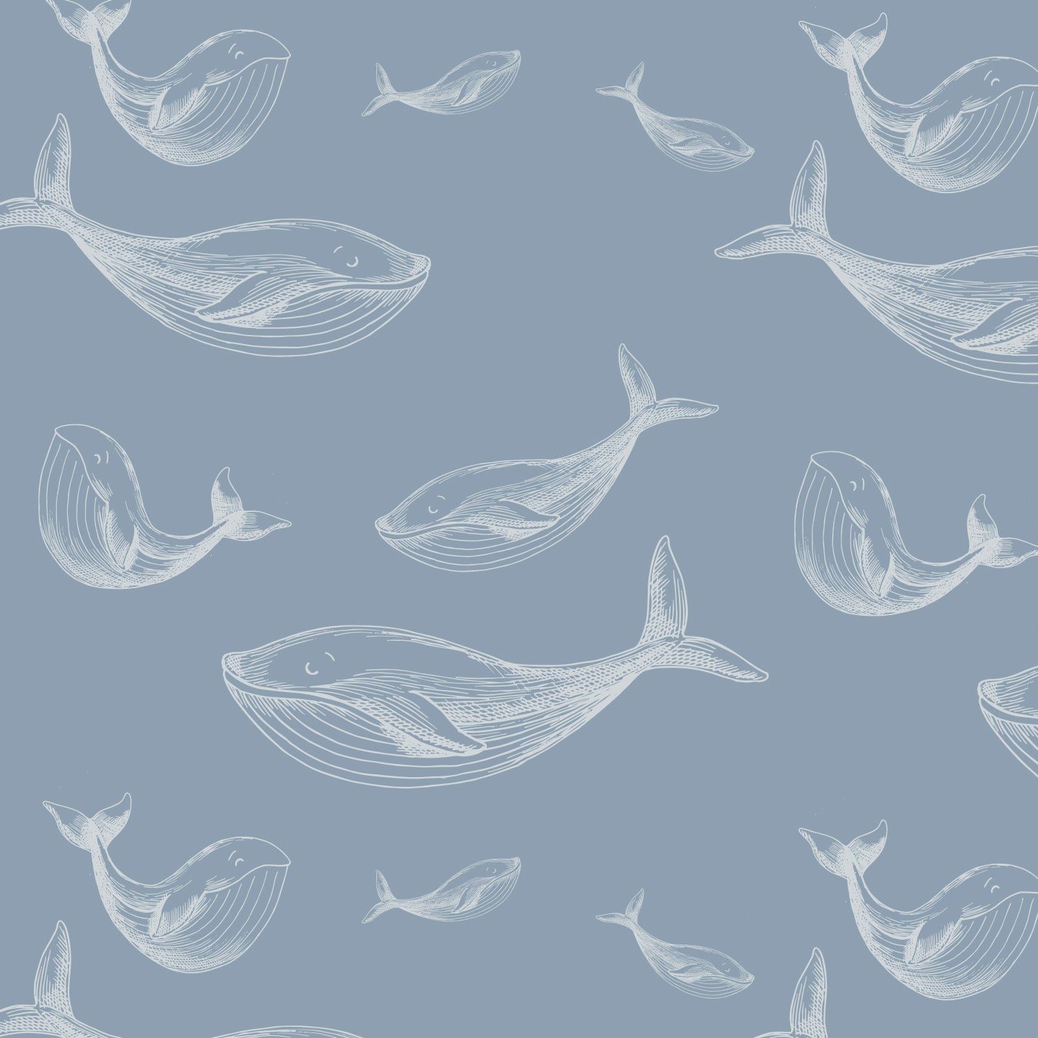Mural Rorqual Bleu