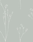 Wallpaper Rosalie