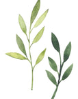 Autocollants muraux Leaves