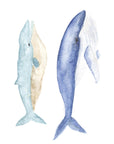 Autocollants muraux Baleines