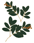 Wall Decals Cranberry branches by Natasha Prevost