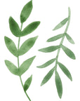 Autocollants muraux Feuilles