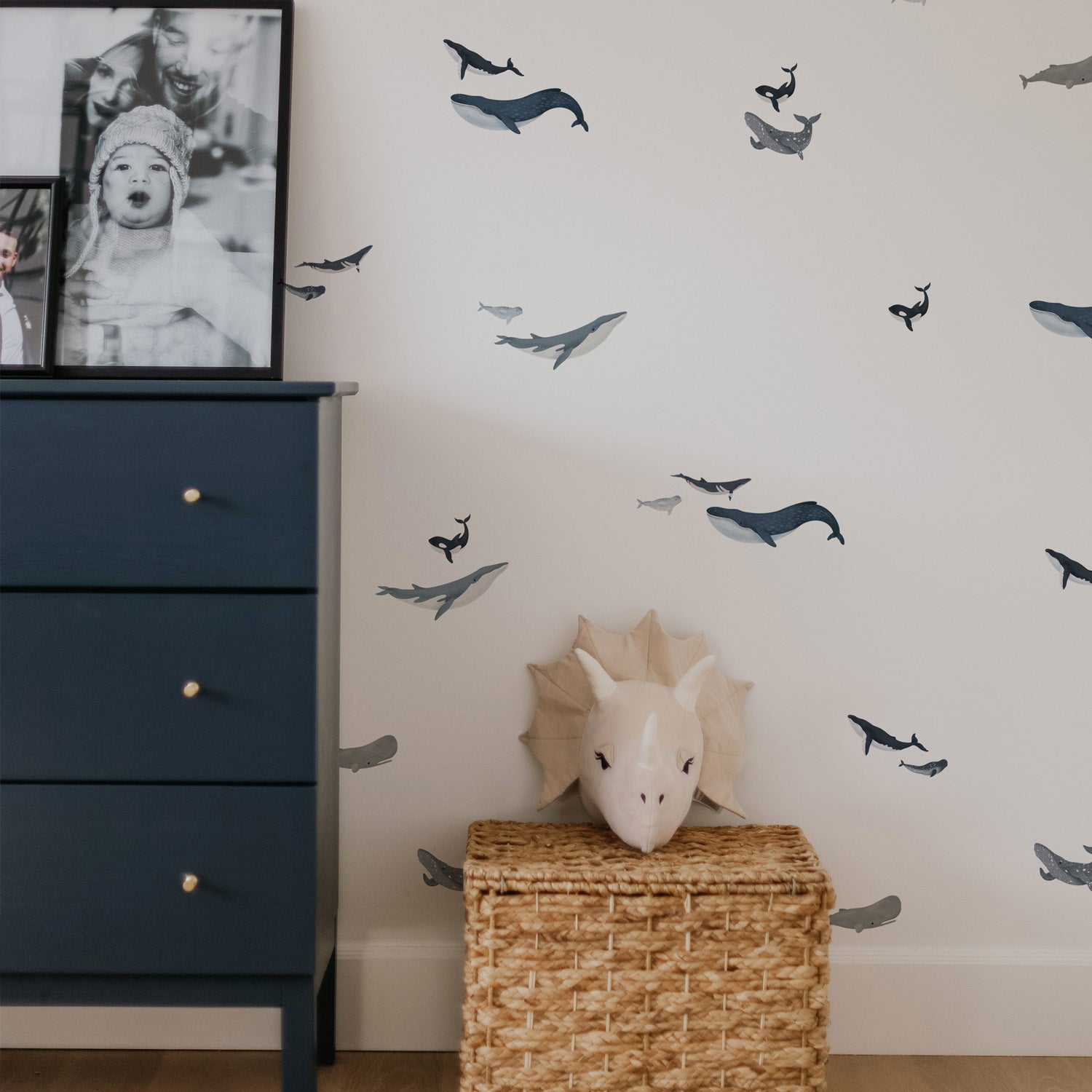 Autocollants muraux Mammifères Marins