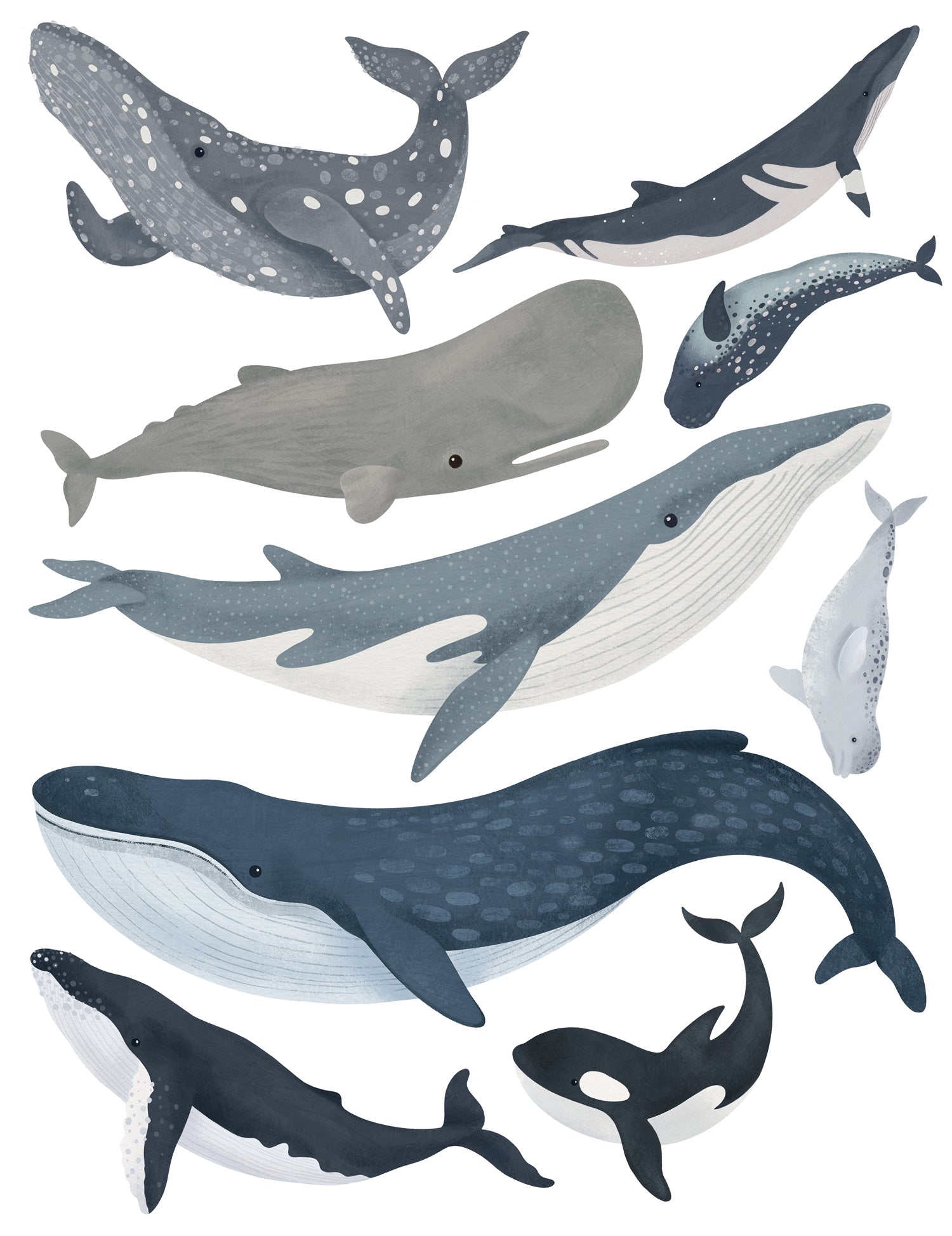 Autocollants muraux Mammifères Marins