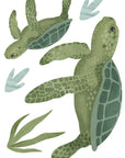 Wall Decals Turtles
