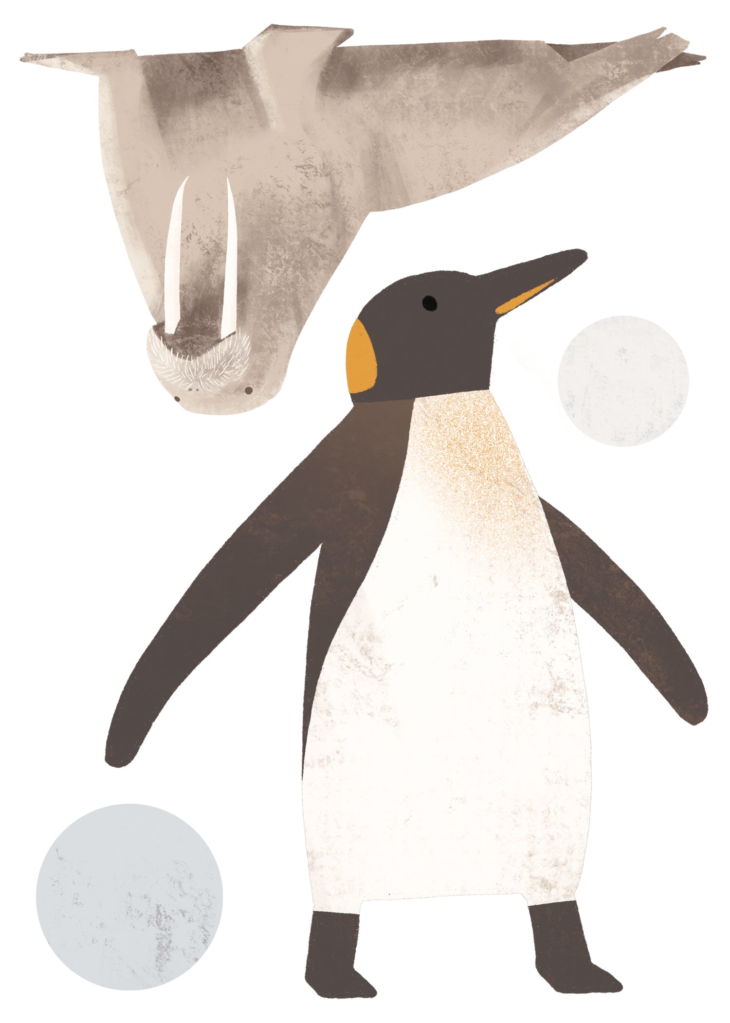 Autocollants muraux Pôle Nord