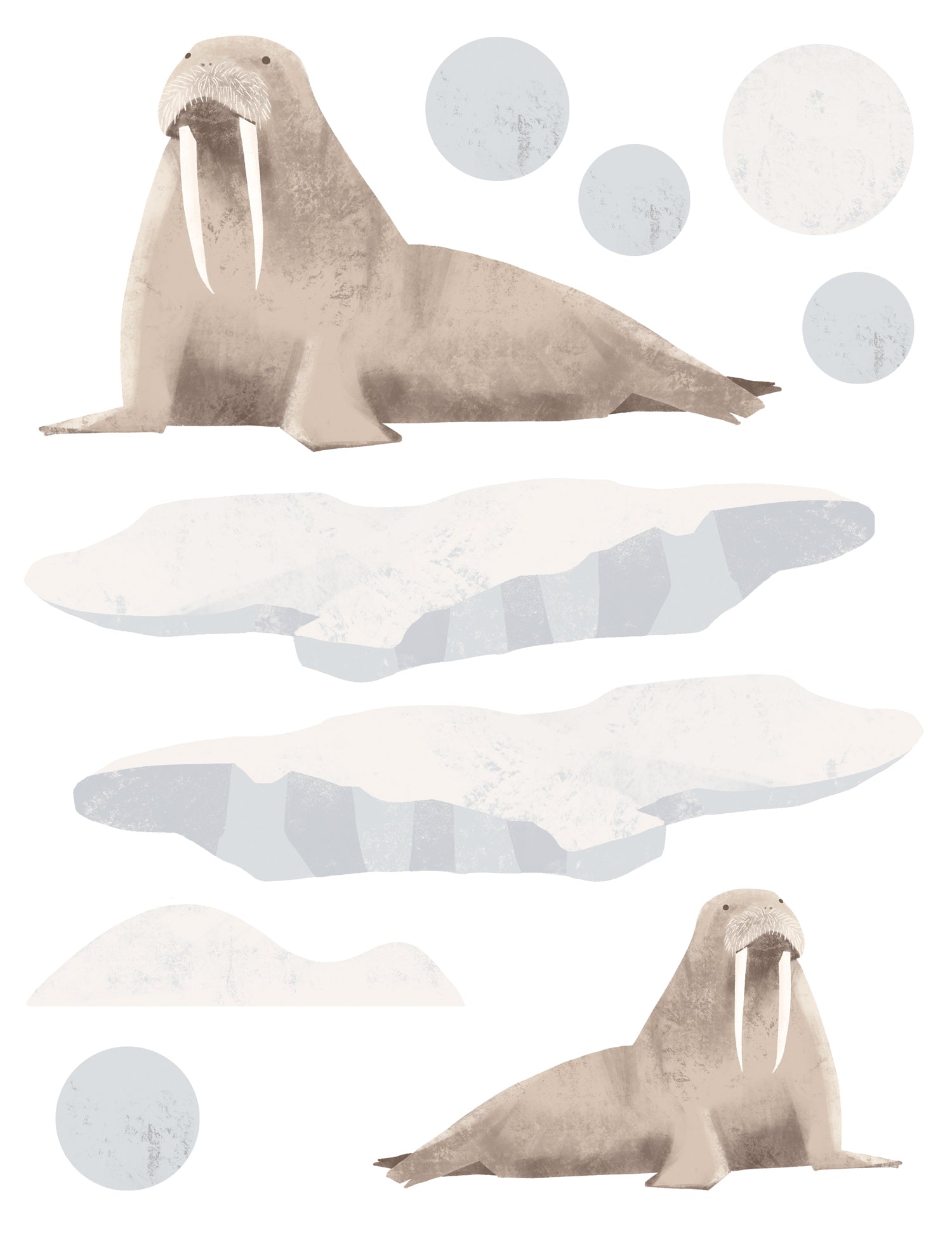 Autocollants muraux Pôle Nord