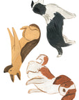 Wall Decals The Canines