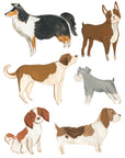 Wall Decals The Canines