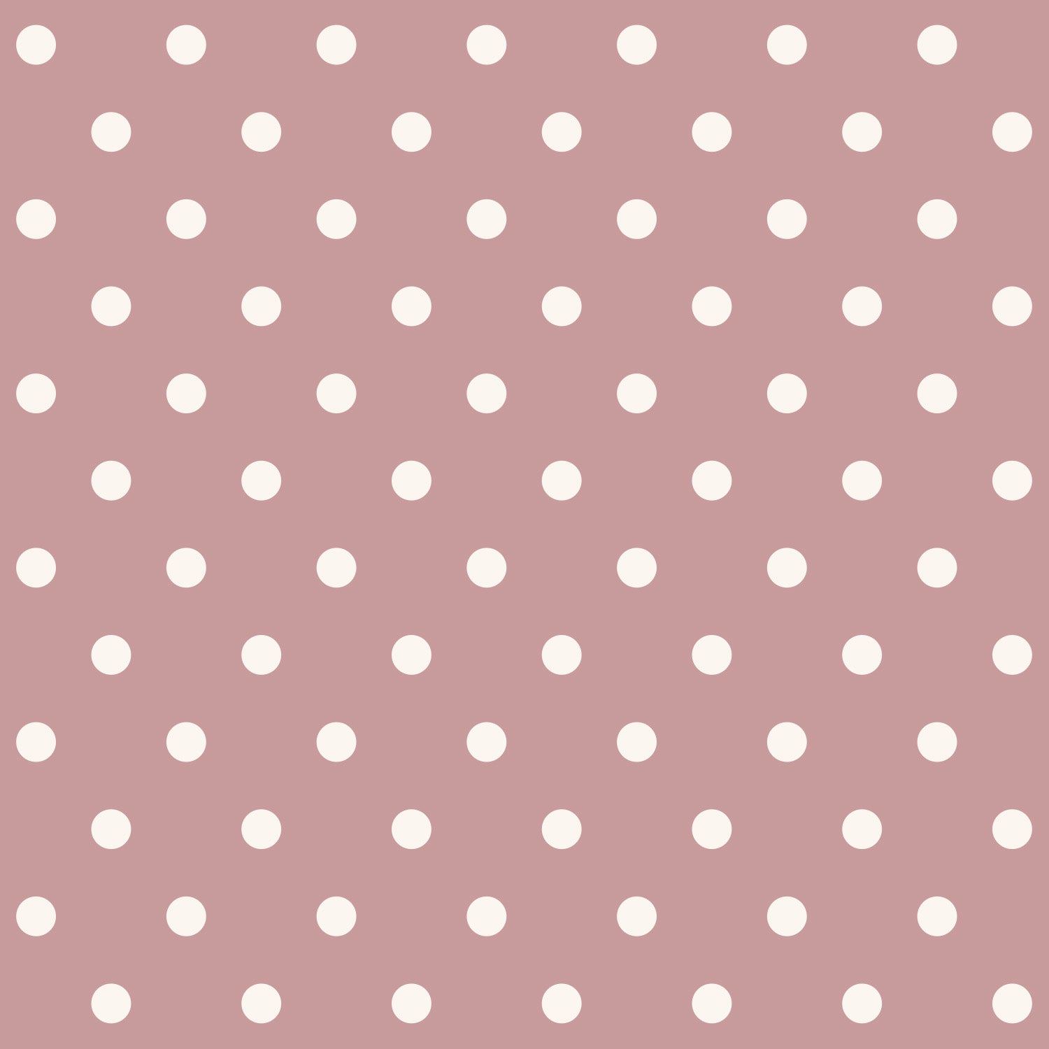 Dollhouse Wallpaper - Samuel