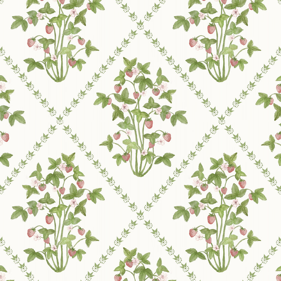 Wallpaper Strawberry Trellis by Danika Herrick