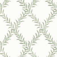 Wallpaper Leafy Trellis by Danika Herrick