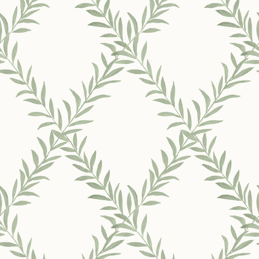 Wallpaper Leafy Trellis by Danika Herrick