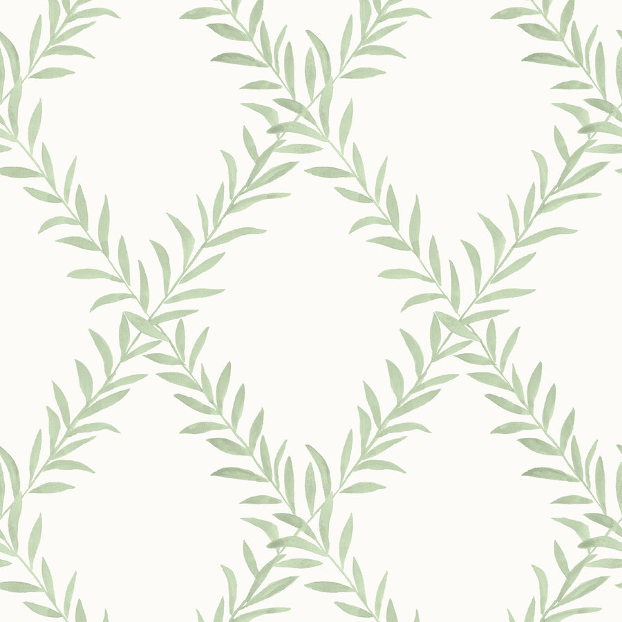 Wallpaper Leafy Trellis by Danika Herrick