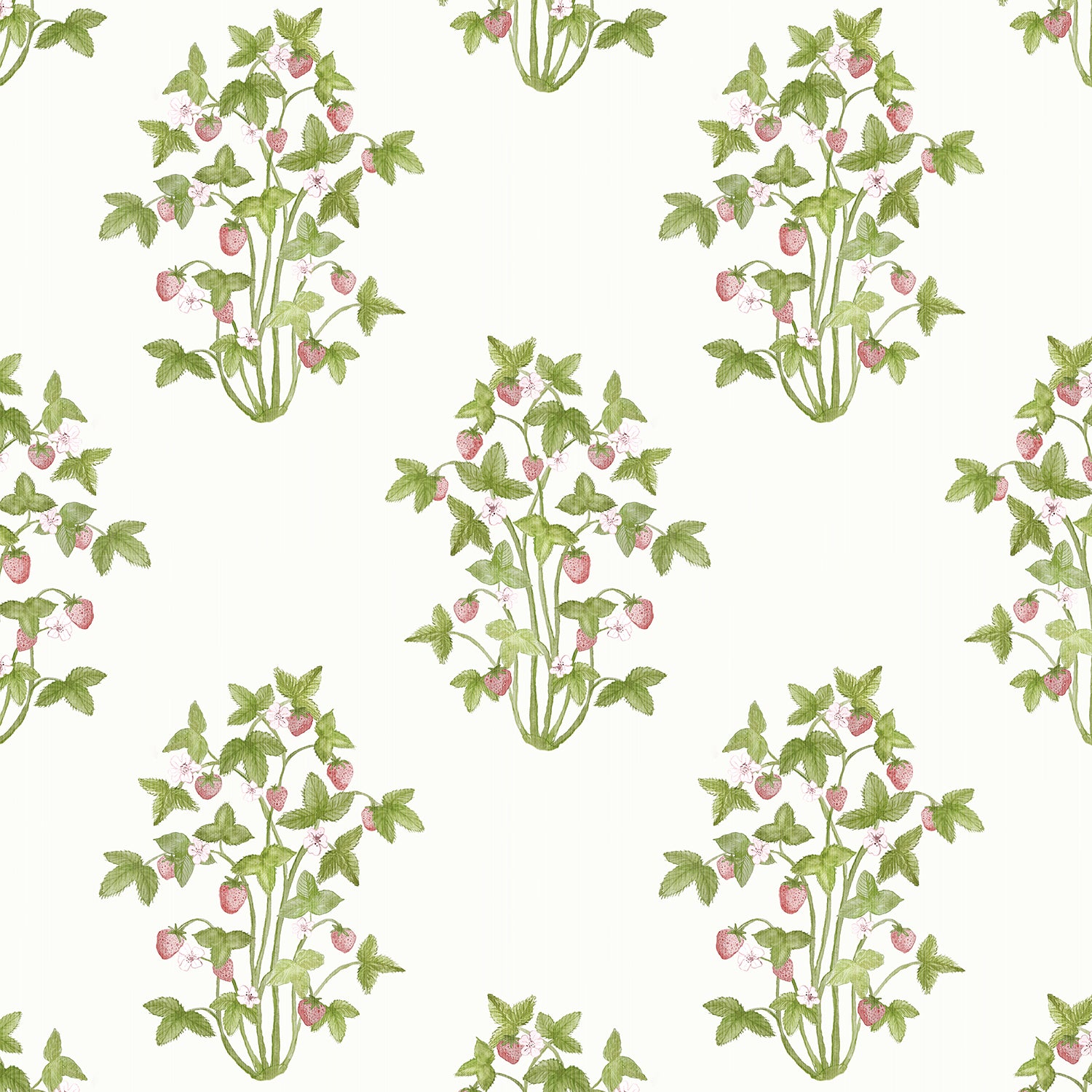 Wallpaper Strawberries by Danika Herrick