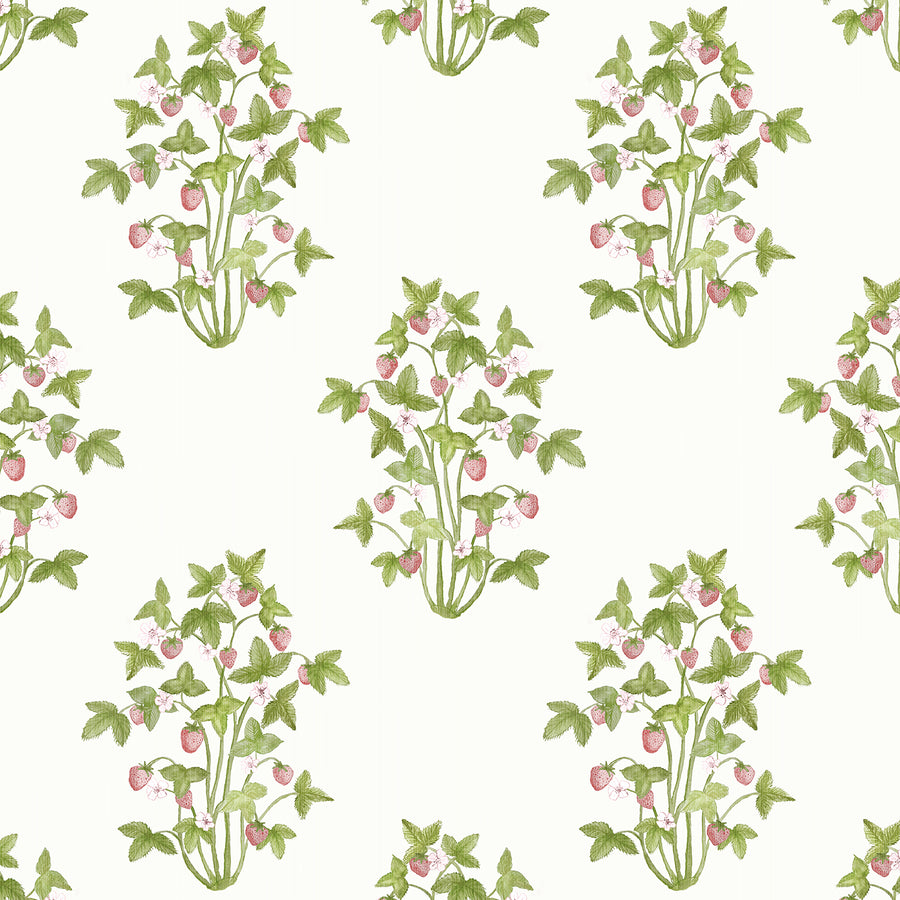 Wallpaper Strawberries by Danika Herrick