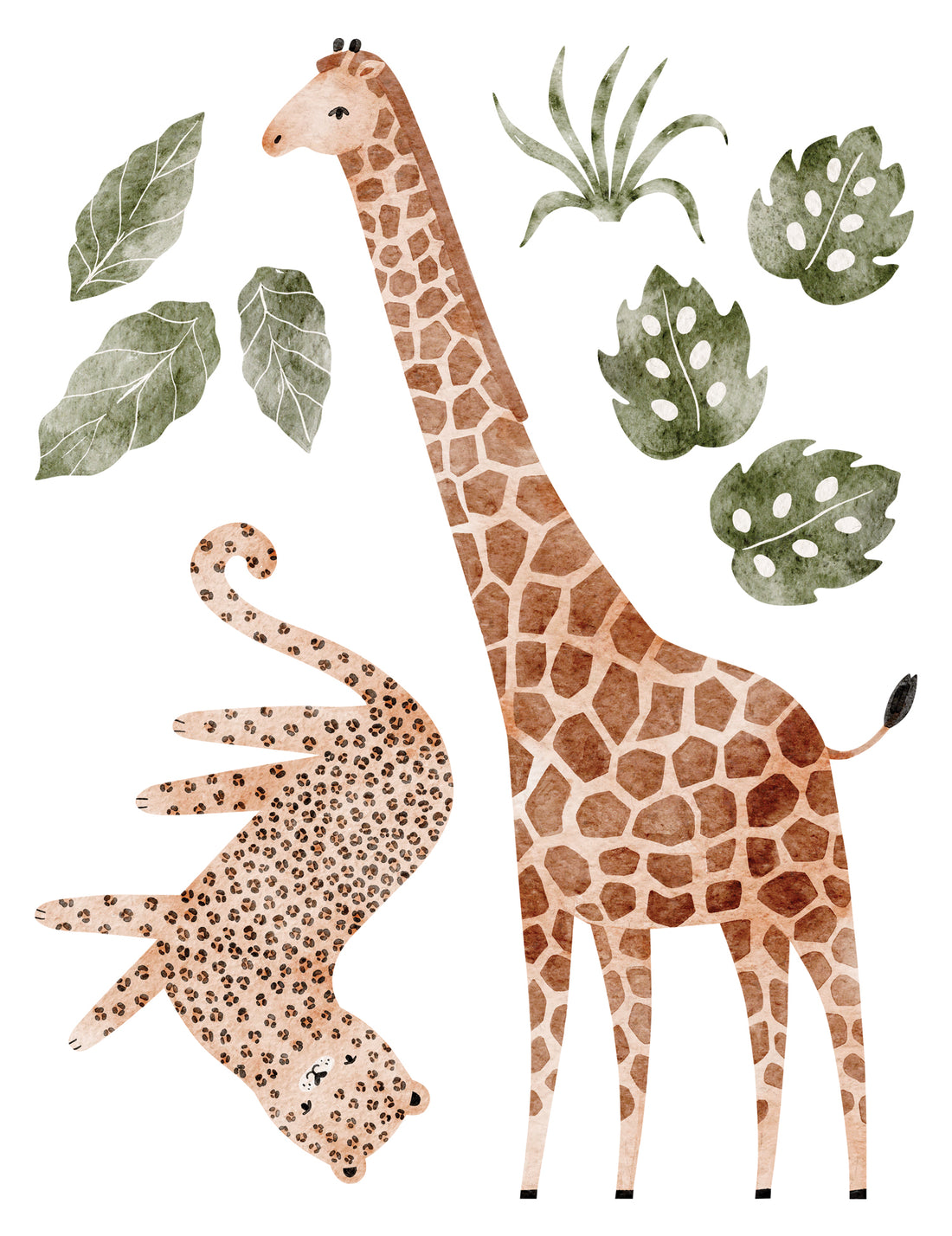 Wall Decals Zoo