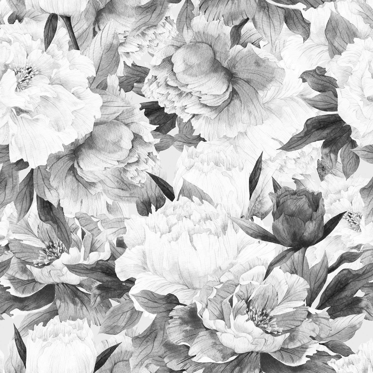Mural Blush black