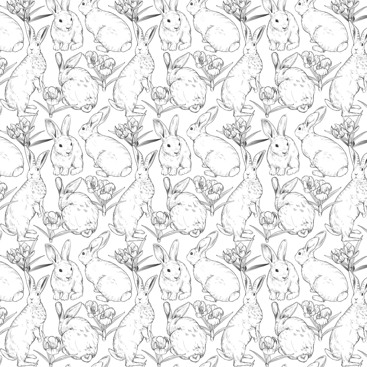 Murale Bunny