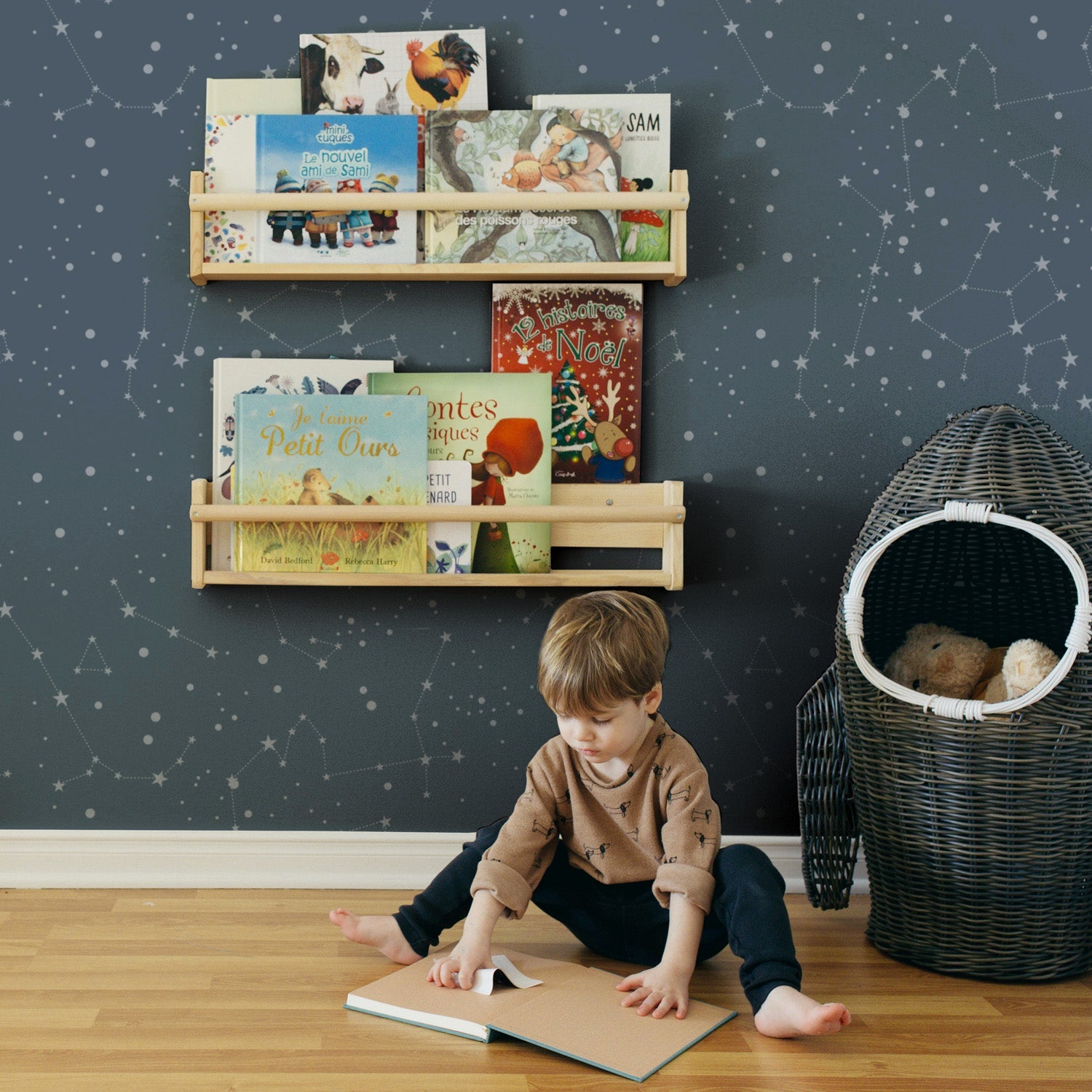Mural Constellation