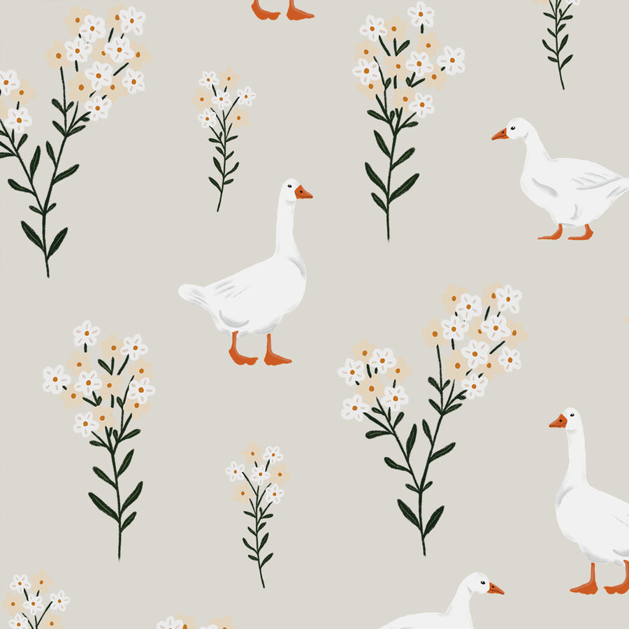 Wallpaper Sweet Geese