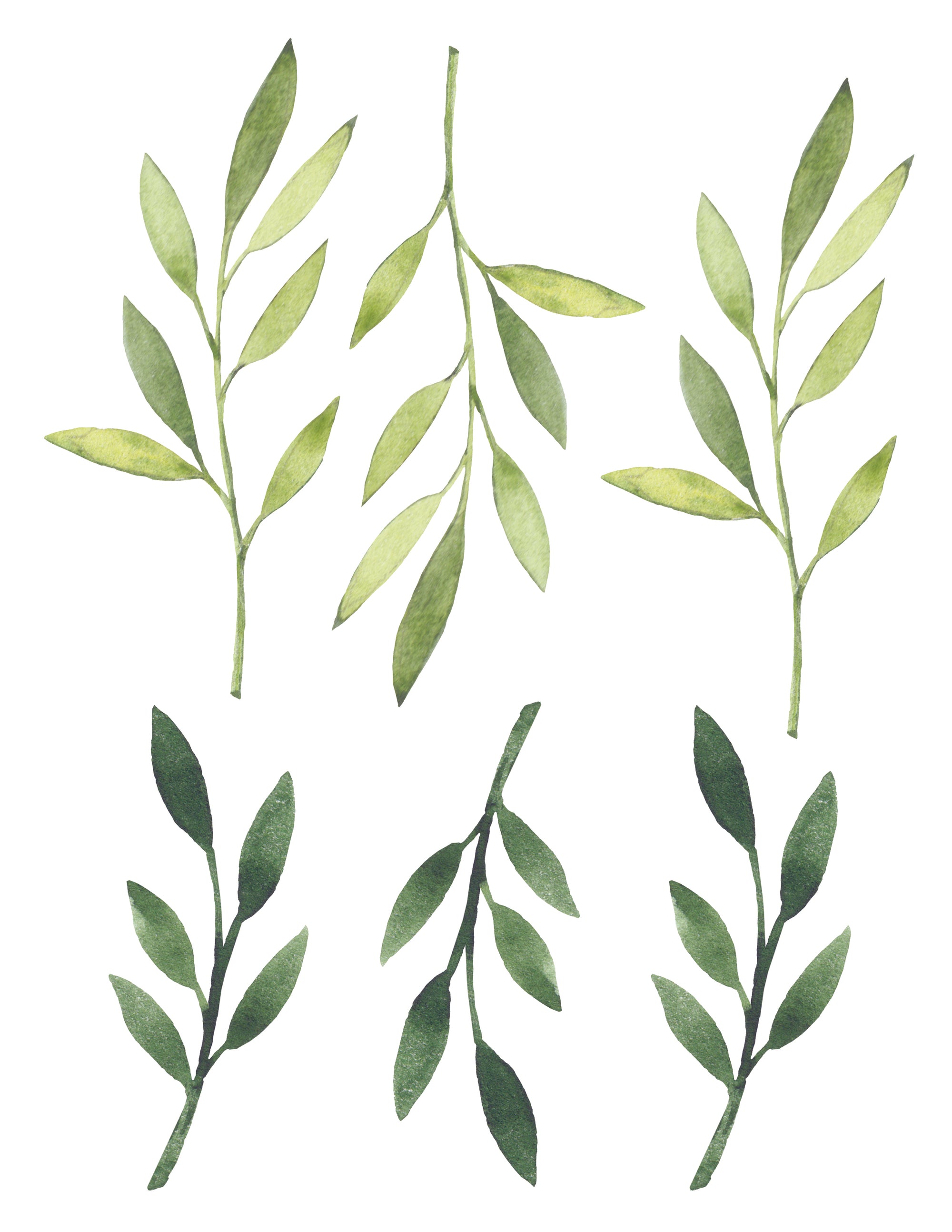 Autocollants muraux Leaves