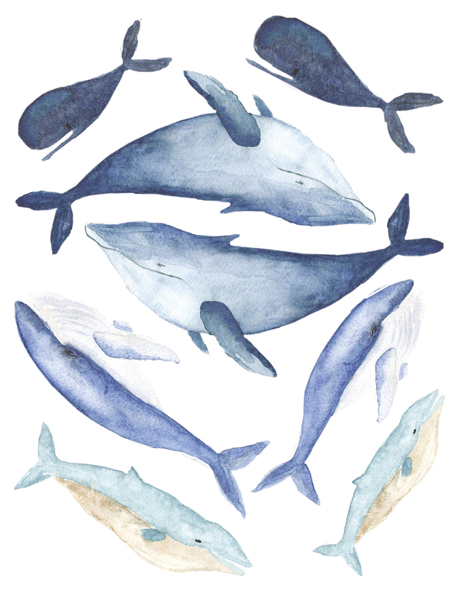 Wall Decals Whales