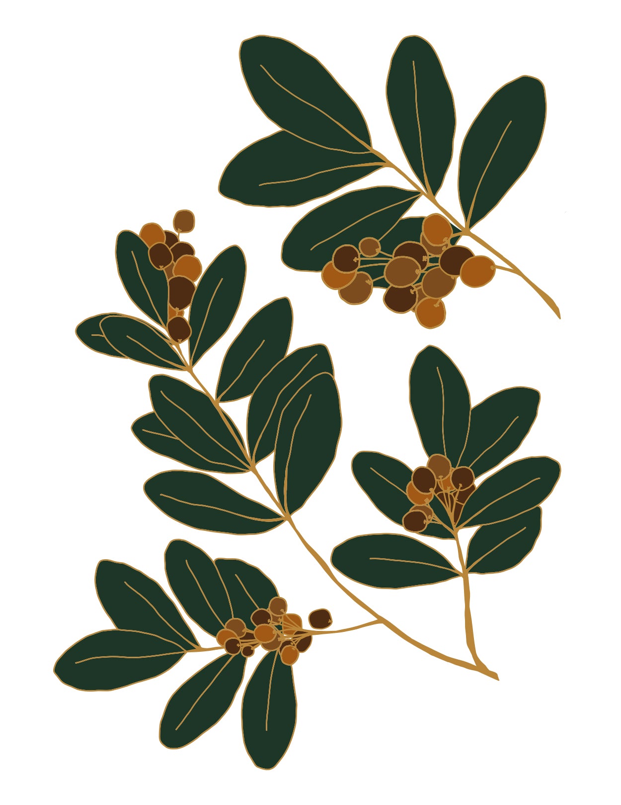 Wall Decals Cranberry branches by Natasha Prevost