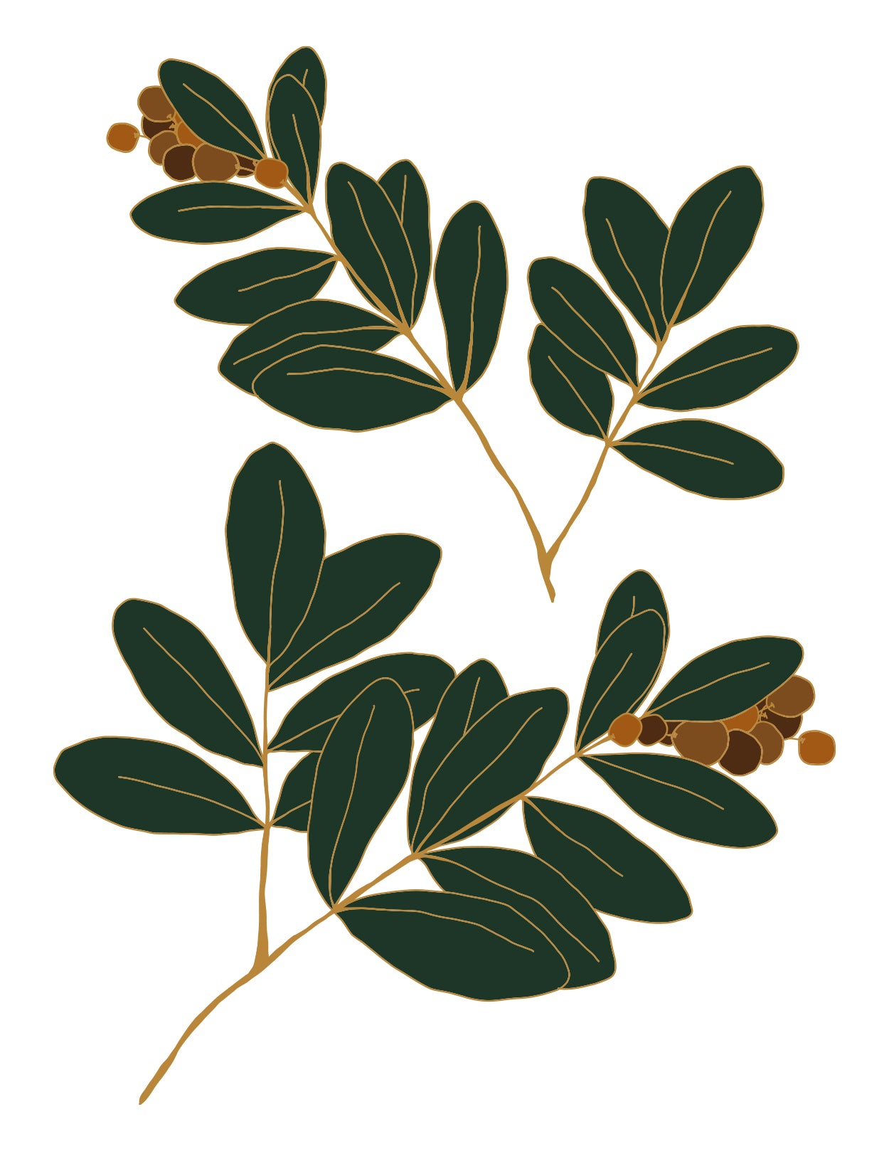Wall Decals Cranberry branches by Natasha Prevost