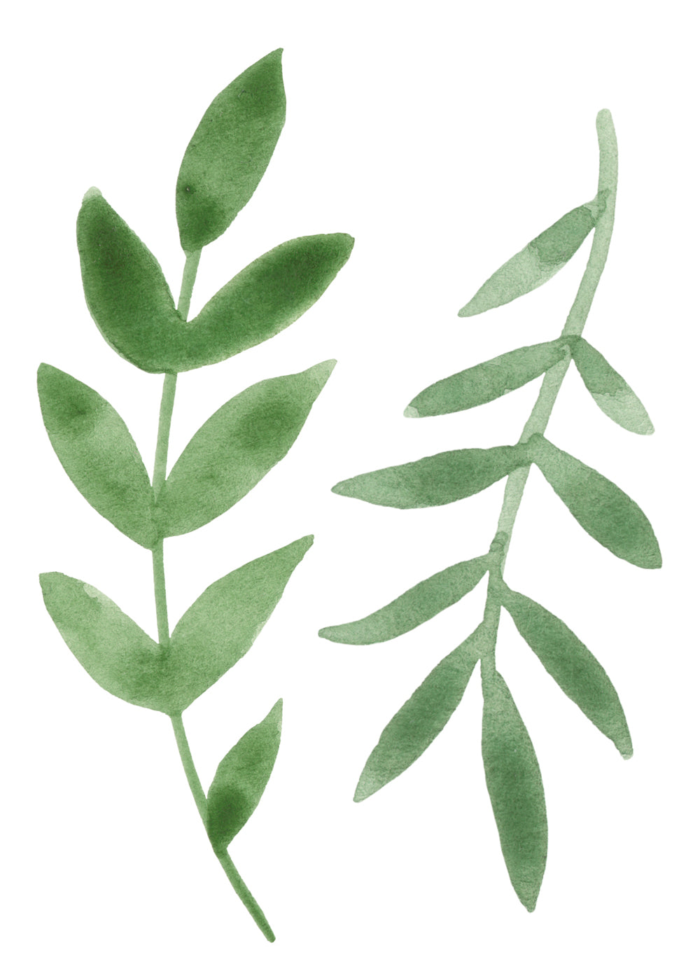 Wall Decals Feuilles