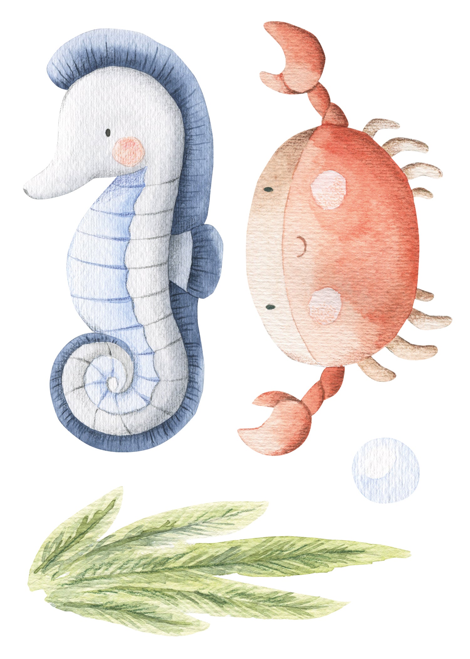 Wall Decals Sea’s Treasures
