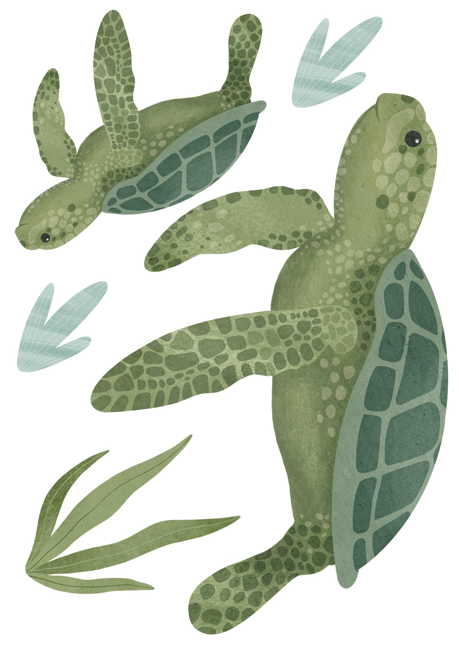Wall Decals Turtles
