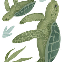 Wall Decals Turtles