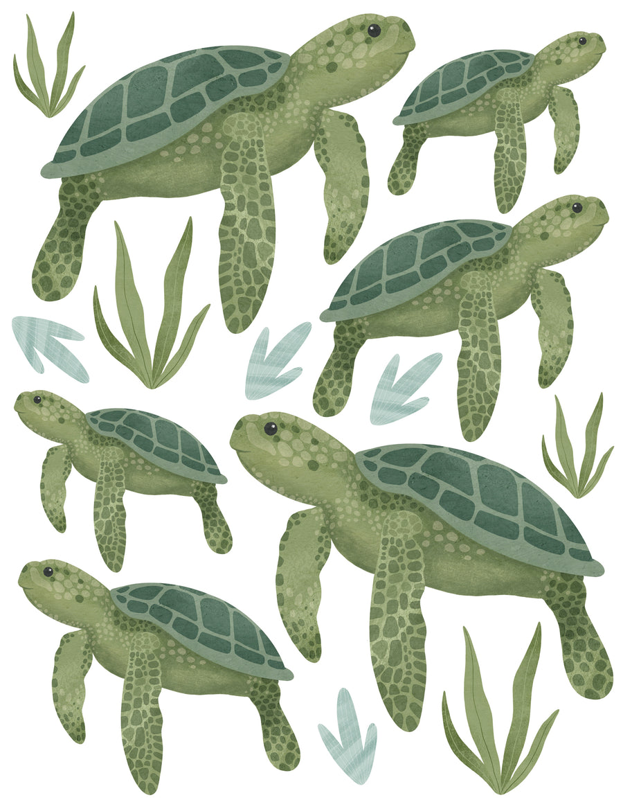 Wall Decals Turtles