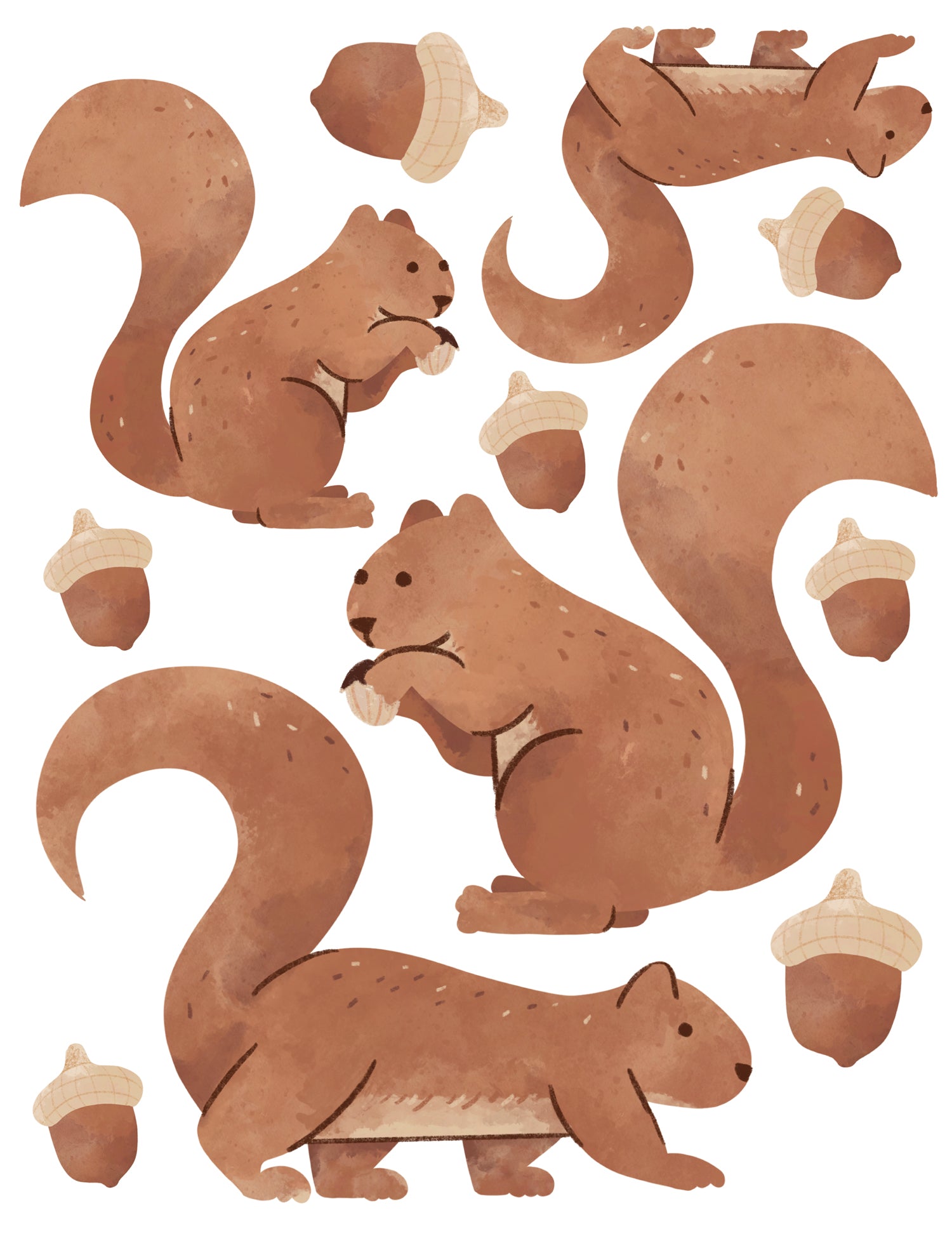 Wall Decals Red Squirrels